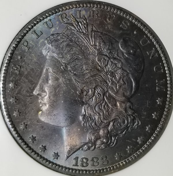 1883-CC-Morgan-Dollar...you-Vs.-NGC-Fatty-Holder