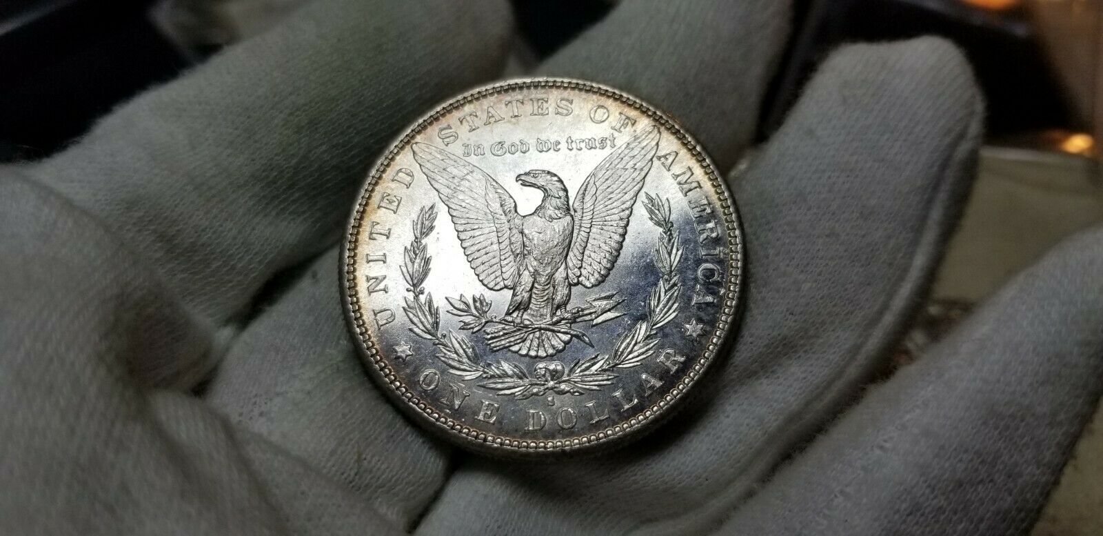 1881-S-Morgan-$1-For-Grading