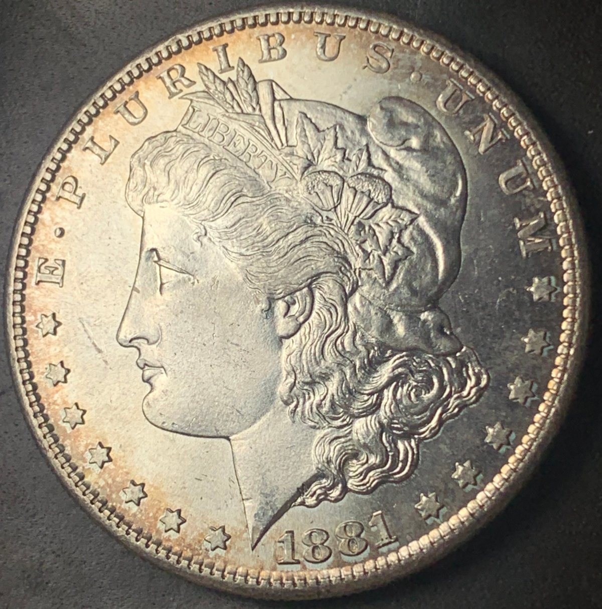 1881-S-Morgan-$1-For-Grading