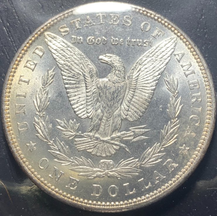 1887-P-Morgan-Dollar-For-Grading