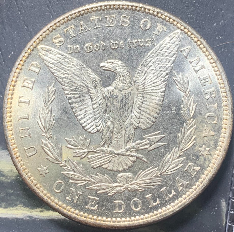 1887-P-Morgan-Dollar-For-Grading