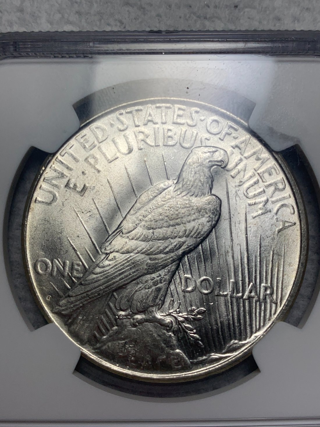1923-D-VAM-1Ab2-Confirmation