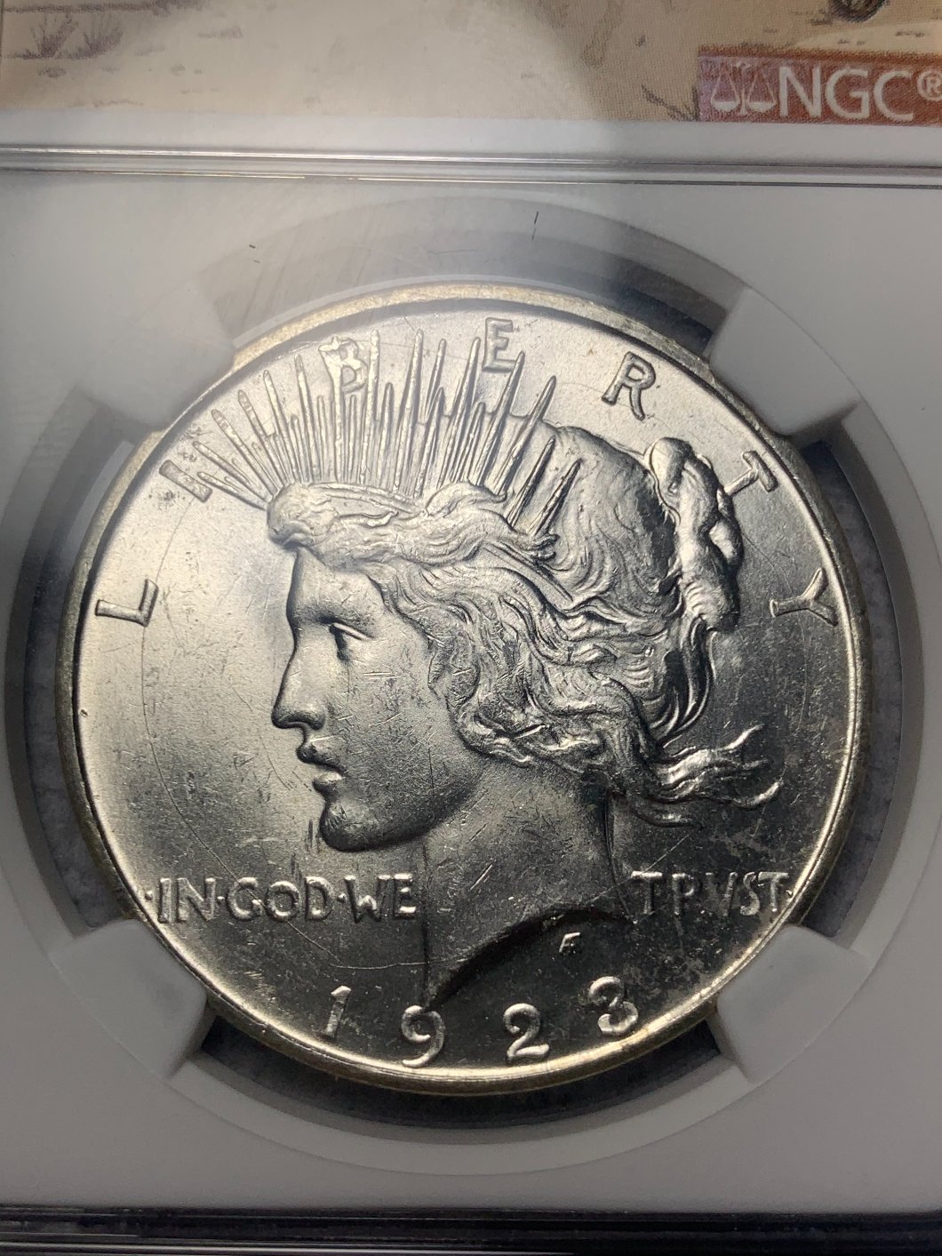 1923-D-VAM-1Ab2-Confirmation
