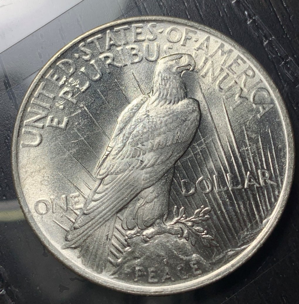 1923-Peace-Dollar-For-Grading