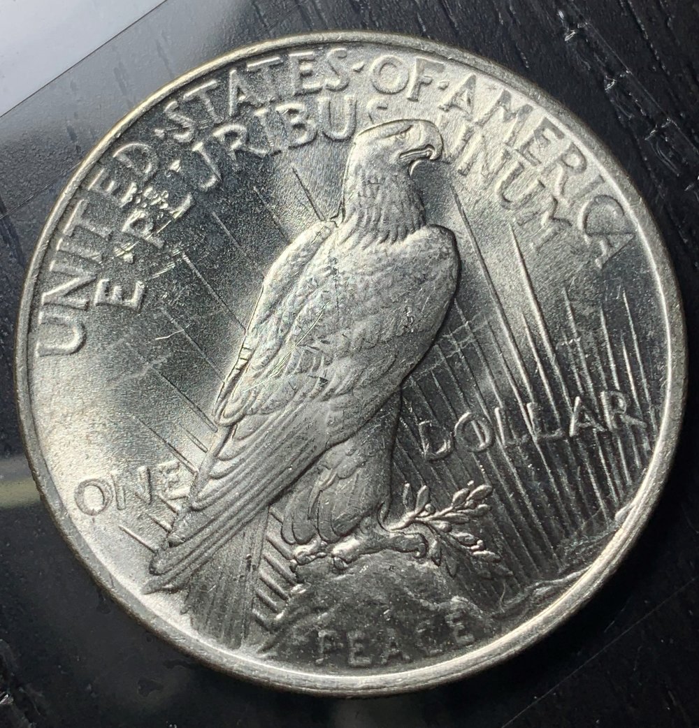 1923-Peace-Dollar-For-Grading