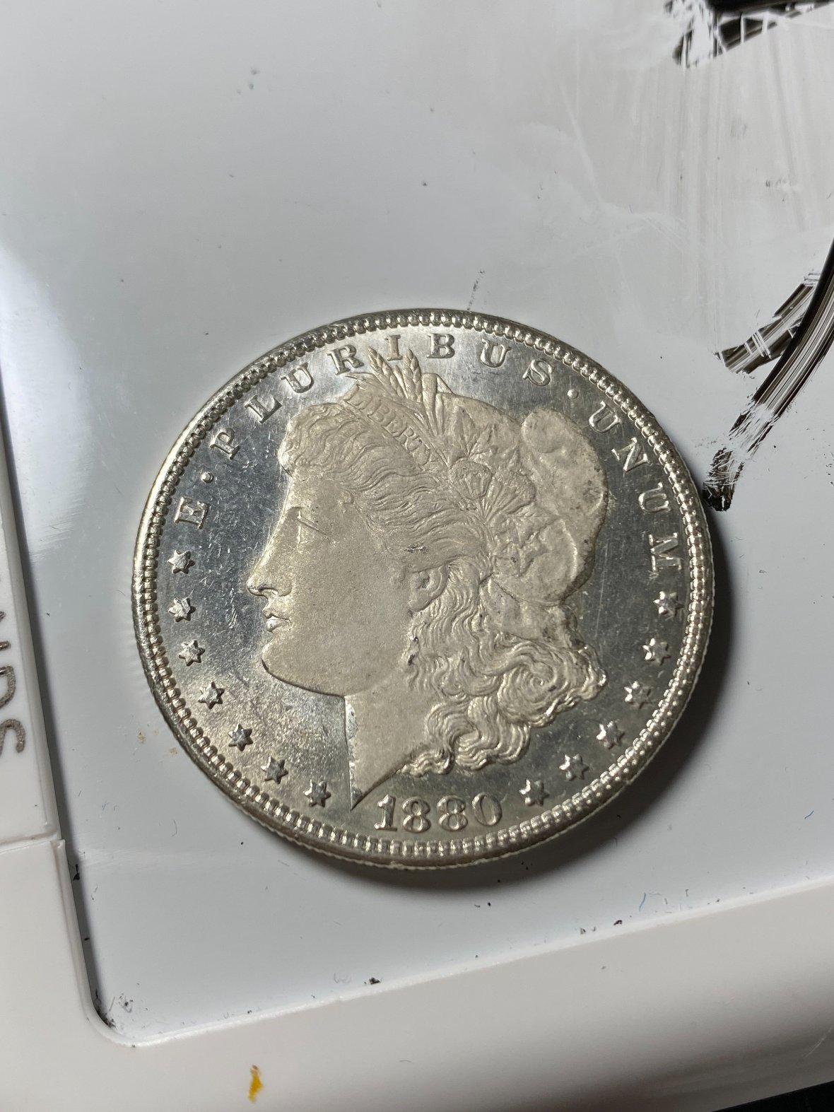 1880-S-Morgan-Dollar.-California-Cameo-Doctoring