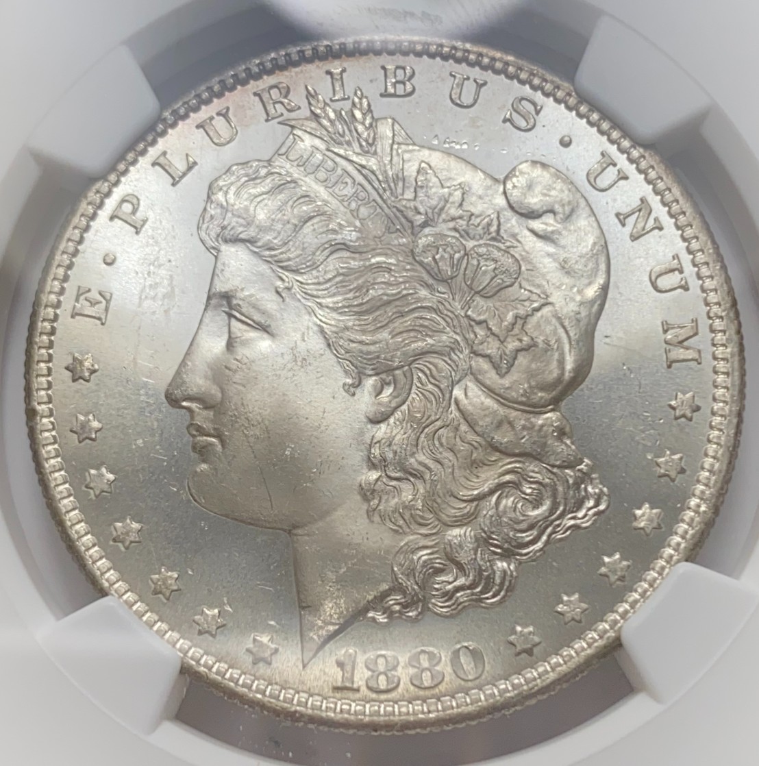 1880-S-$1-Morgan-Silver-Dollar.-You-Vs.-NGC!