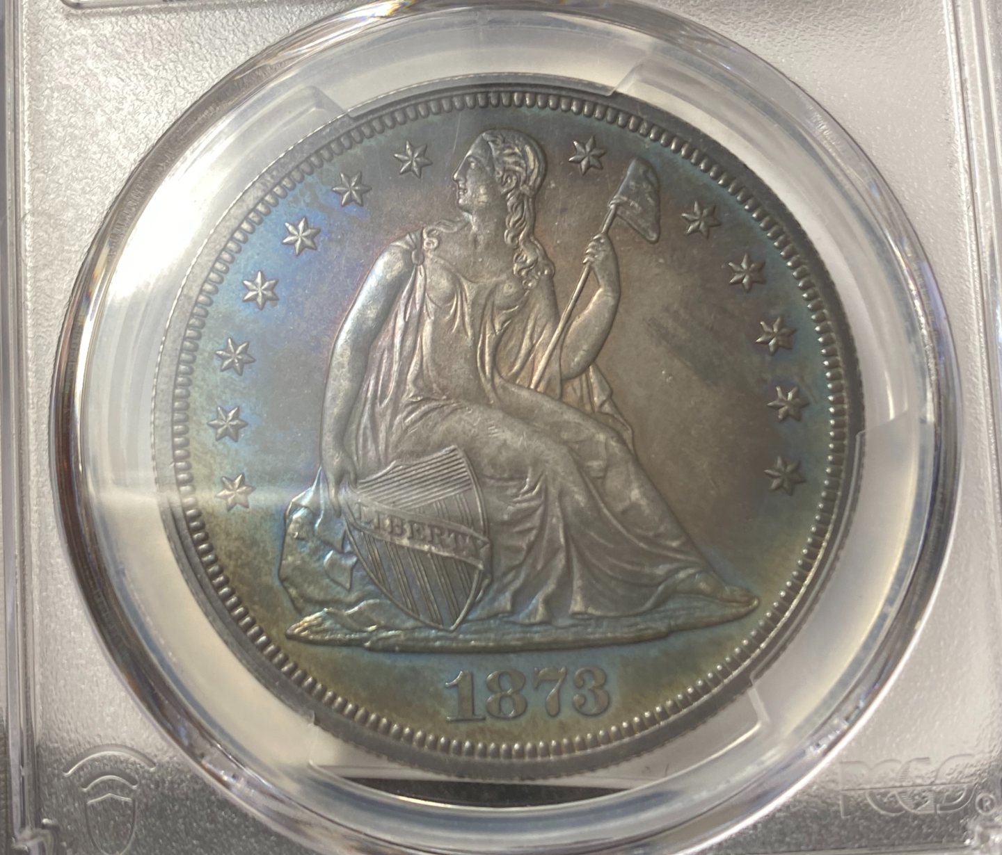 1873-Seated-Liberty-Dollar.-You-Vs.-PCGS!