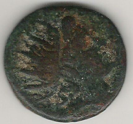 Help-For-Find-This-Coins
