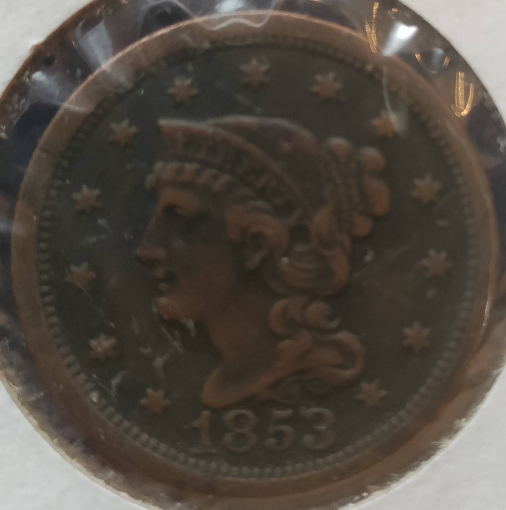 1853-Braided-Hair-Opinions