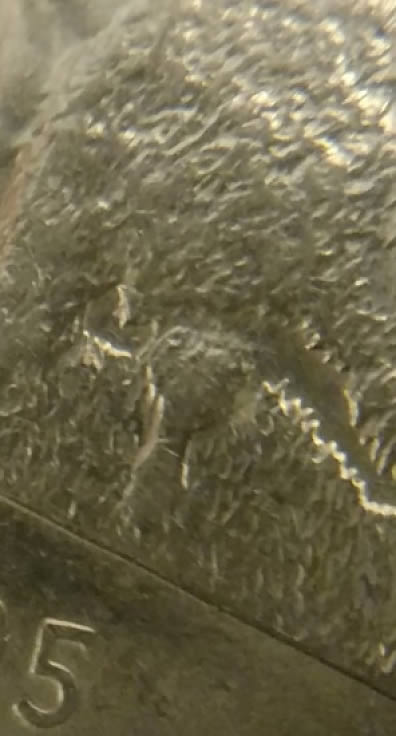 Opinion-On-This-Please-2005-D-Kansas-Quarter.-An-Odd-Floating-Leg-Error