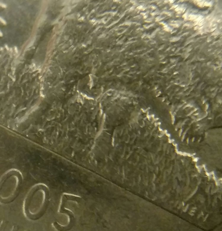 Opinion-On-This-Please-2005-D-Kansas-Quarter.-An-Odd-Floating-Leg-Error