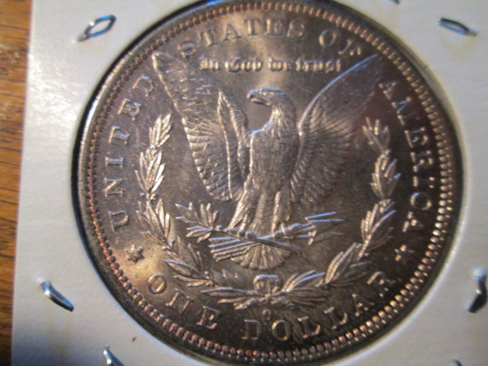 My-Favorite-Morgan,-What-VAM-Number?