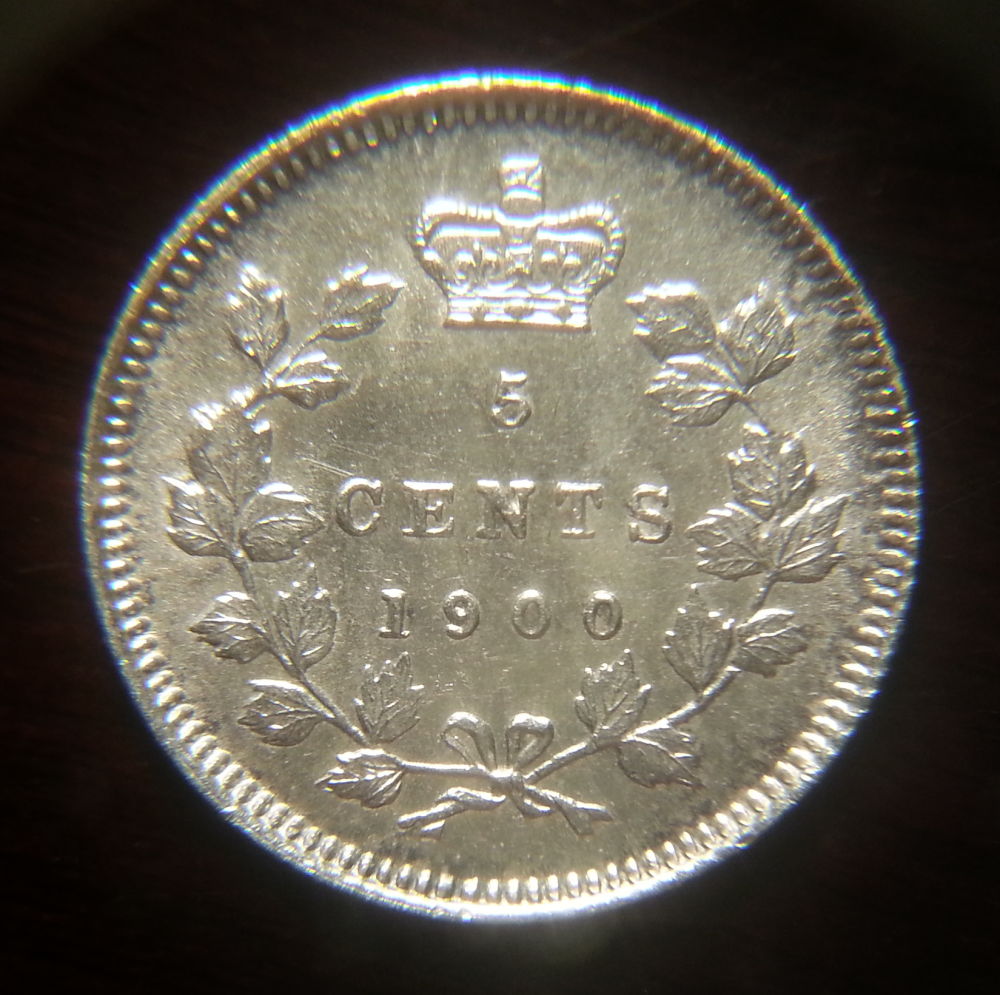 1900-5-Cents-SD