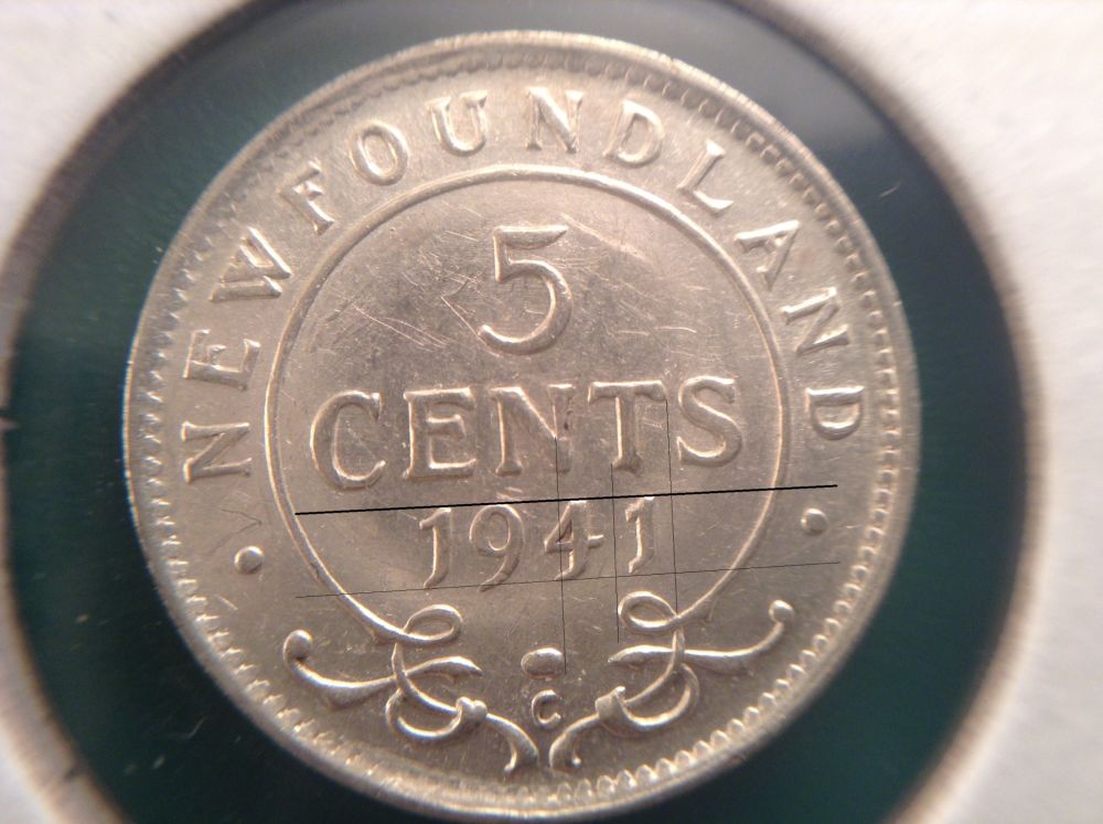 Newfoundland-Varieties