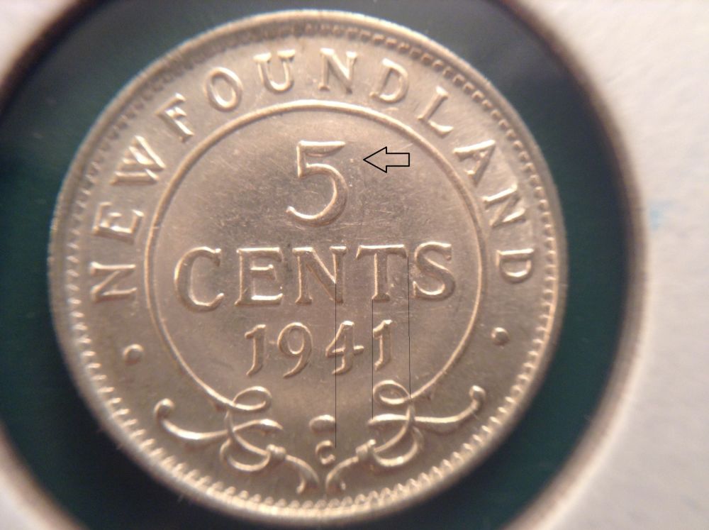 Newfoundland-Varieties