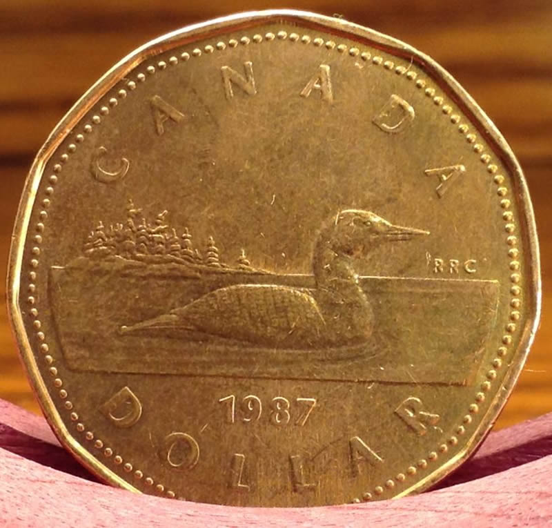 Is-This-A-Specimen-1987-$1