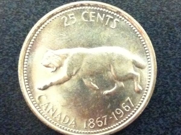 Newest-Find