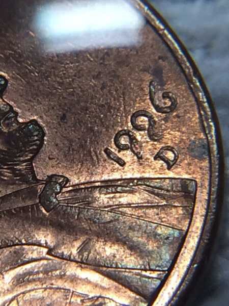 Zinc-Rot?