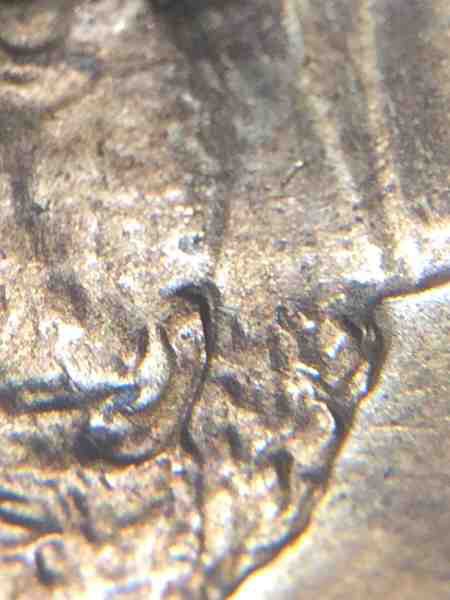 1983-LMC-Doubled-A-Ear?