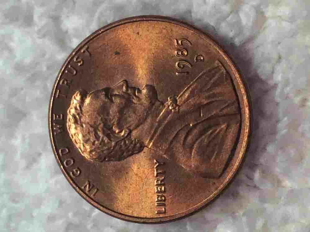 Can-You-Help-Me-ID-This?