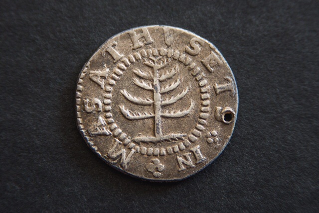 Tree-Coin-Pics
