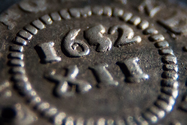 Tree-Coin-Pics