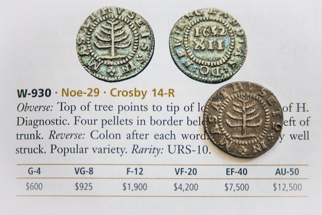 Tree-Coin-Pics