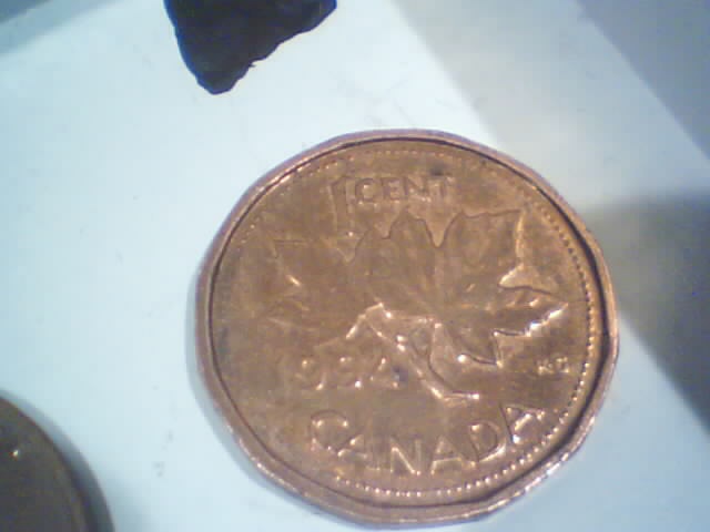 Searching-In-2500-Pennies-50-RollsPictures-Upadated