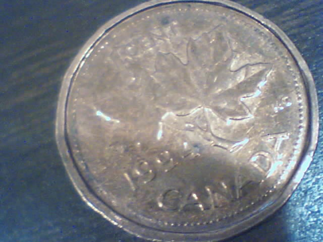 Searching-In-2500-Pennies-50-RollsPictures-Upadated