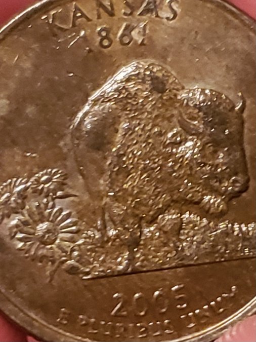 Help,-2005-D-Kansas-Quarter-Odd-Color?