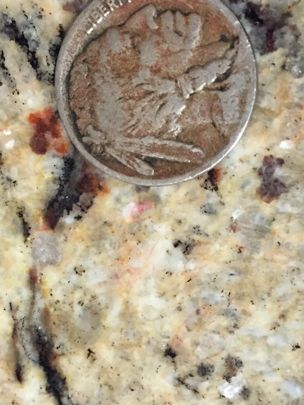 Thoughts-On-This-1916-D-Buffalo?
