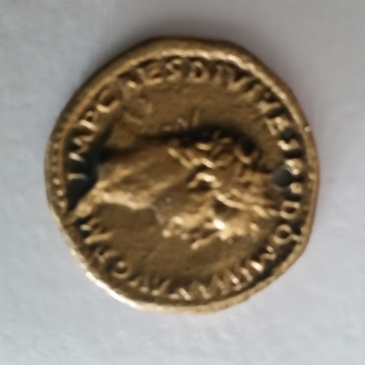 Domitian-Identification-Help