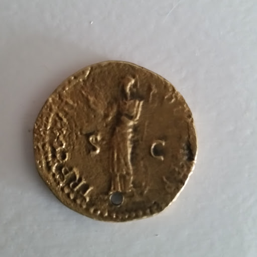 Domitian-Identification-Help