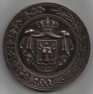 1886-Czernowitz-Expo-Medal-Value