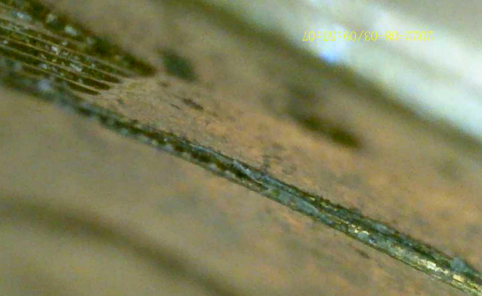 1945-DDR-Penny-Extra-Wheat-Stalks?