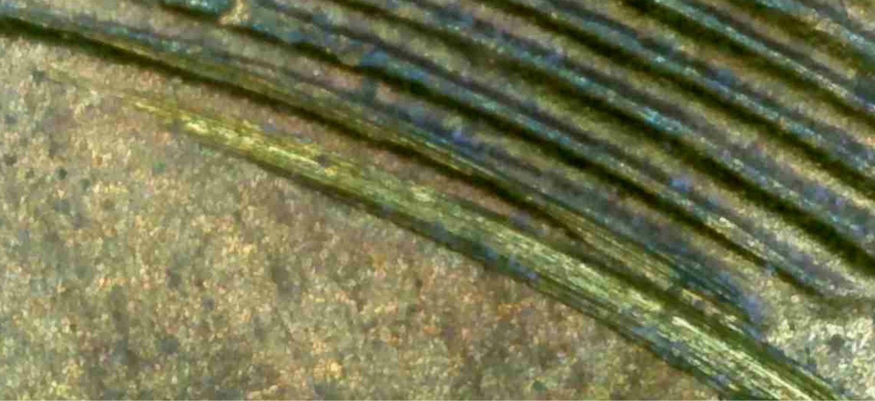 1945-DDR-Penny-Extra-Wheat-Stalks?