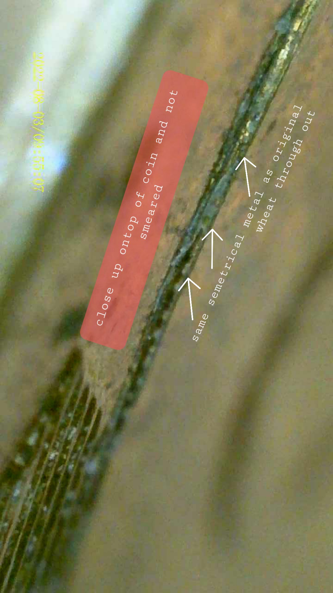1945-DDR-Penny-Extra-Wheat-Stalks?