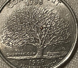 What-Is-This-Raised-Spot-Of-Copper-On-Tree?-1999-Connecticut-Quarter