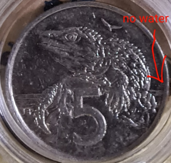 1998-New-Zealand-5-Cent-/-No-Water