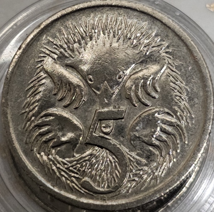 Finally-Found-A-1987-Australian-5-Cent-HI-Echidna-Fine-Au-Grade