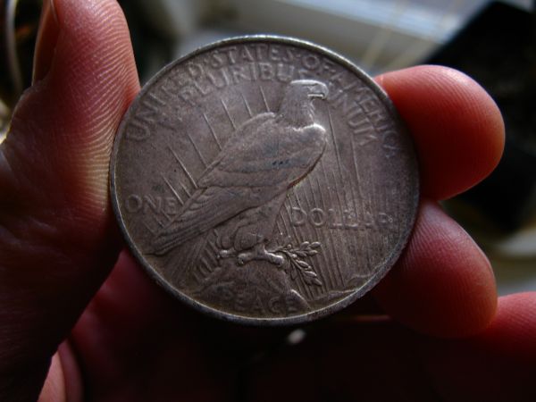Some-Interesting-Peace-Dollars