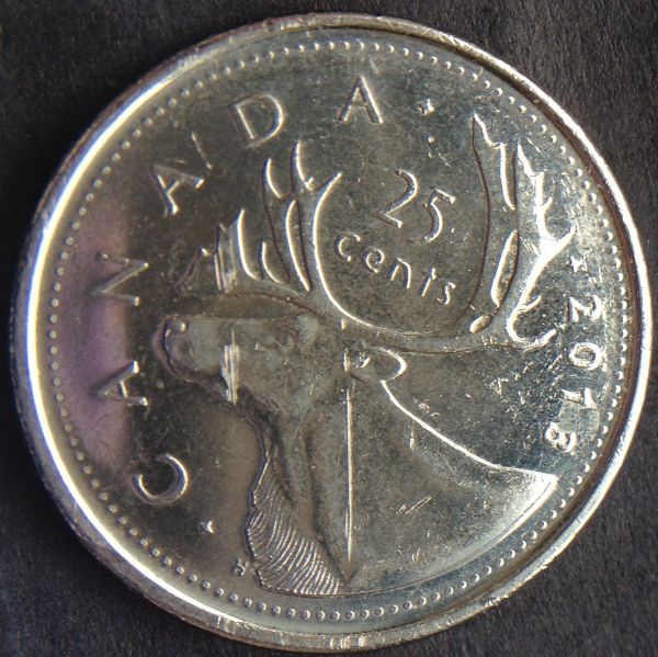 2013-Quarters---Are-These-Die-Cracks-On-The-Caribou?