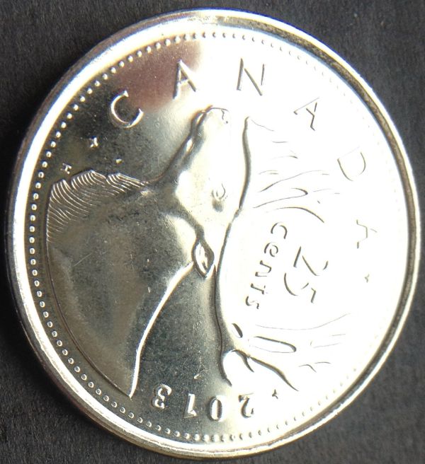 2013-Quarters---Are-These-Die-Cracks-On-The-Caribou?