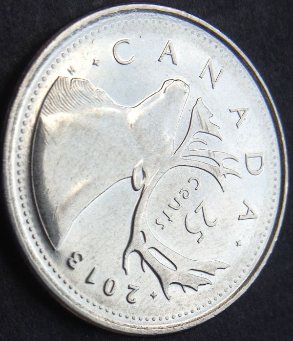 2013-Quarters---Are-These-Die-Cracks-On-The-Caribou?