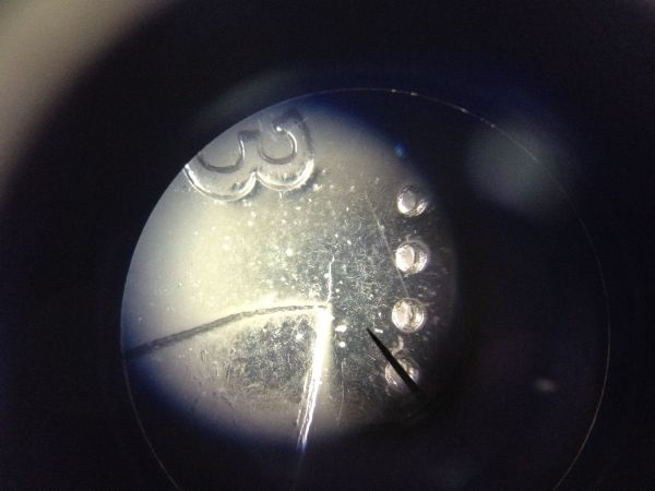 2013-Quarters---Are-These-Die-Cracks-On-The-Caribou?