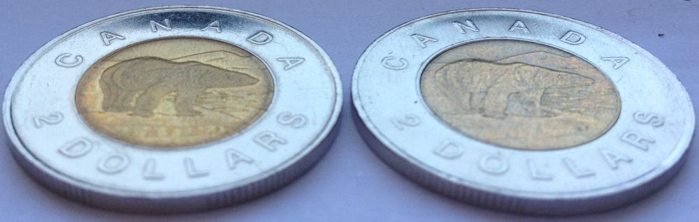 Is-My-Toonie-A-Specimen?