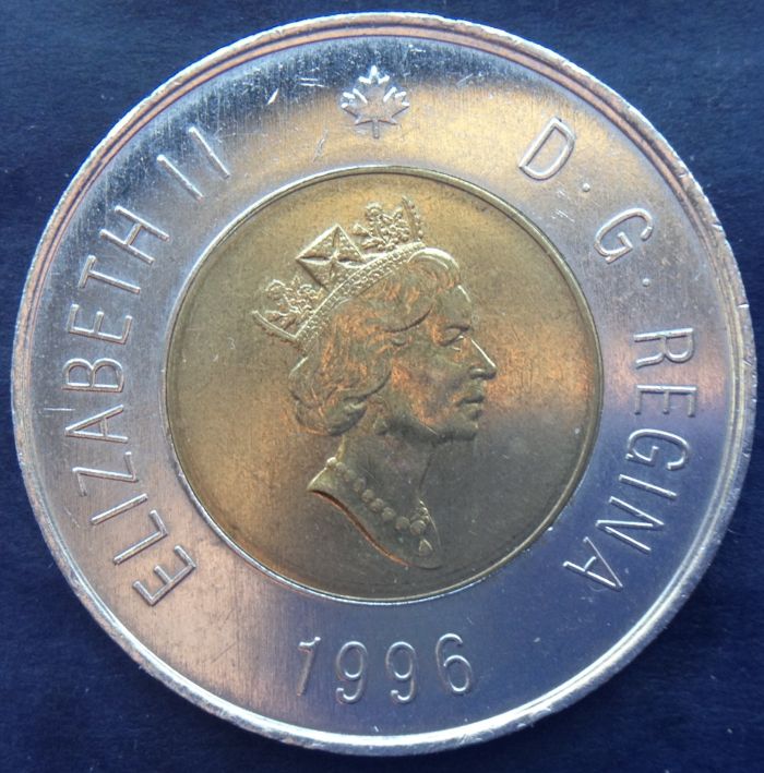 Is-My-Toonie-A-Specimen?