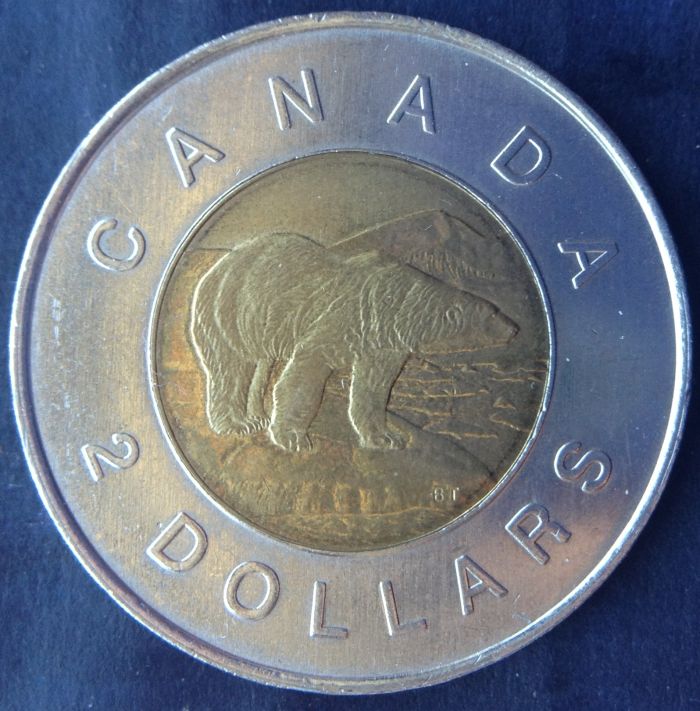 Is-My-Toonie-A-Specimen?