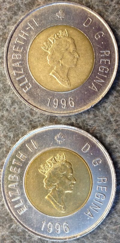 Is-My-Toonie-A-Specimen?